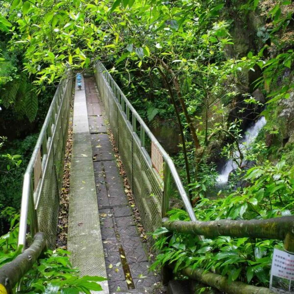 二月郊山活動，草山水道橋