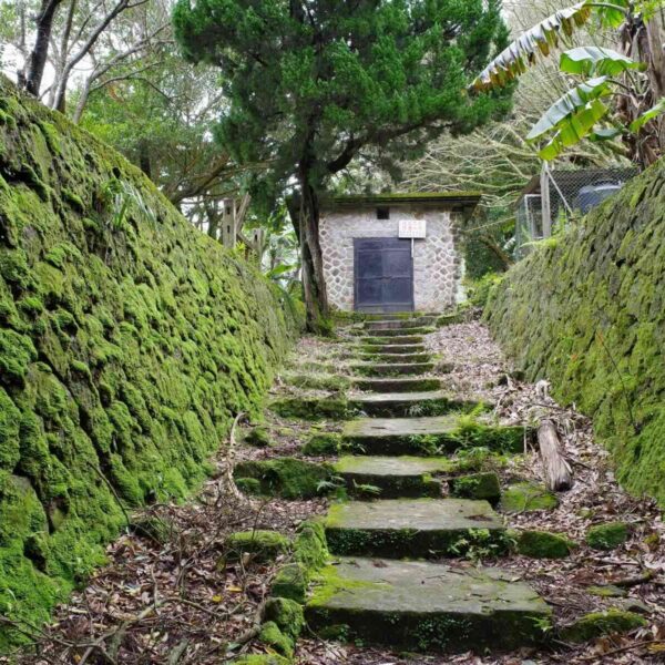 二月郊山活動，草山水道取水口