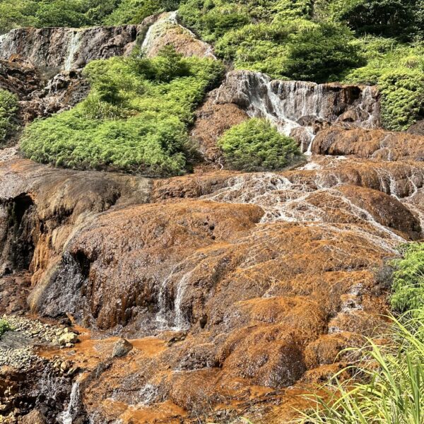 5月郊山-金瓜石秘徑踏尋礦脈記憶